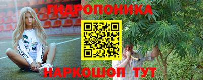 тгк Волгодонск