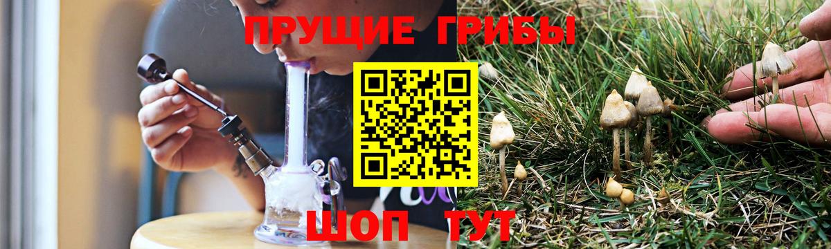 Галлюциногенные грибы MAGIC MUSHROOMS  Вход с VPN  Краснокамск 